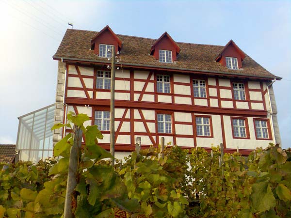 Schloss Thayngen Zum Oberhof
