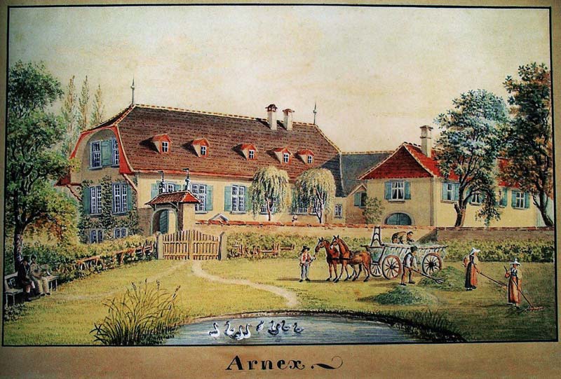 Arnex 1810