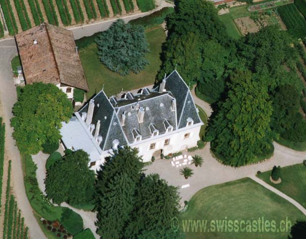 Le château de Saint-Vincent à Gilly