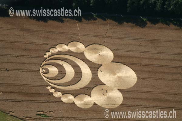 Lausanne crop circle