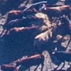 essertes