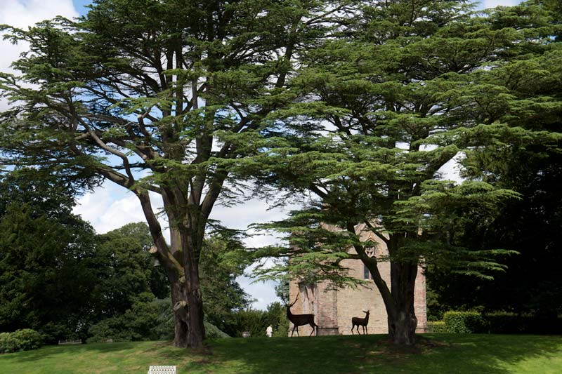 Gardens at Scone Palace  Winding Paths & Historic Trees