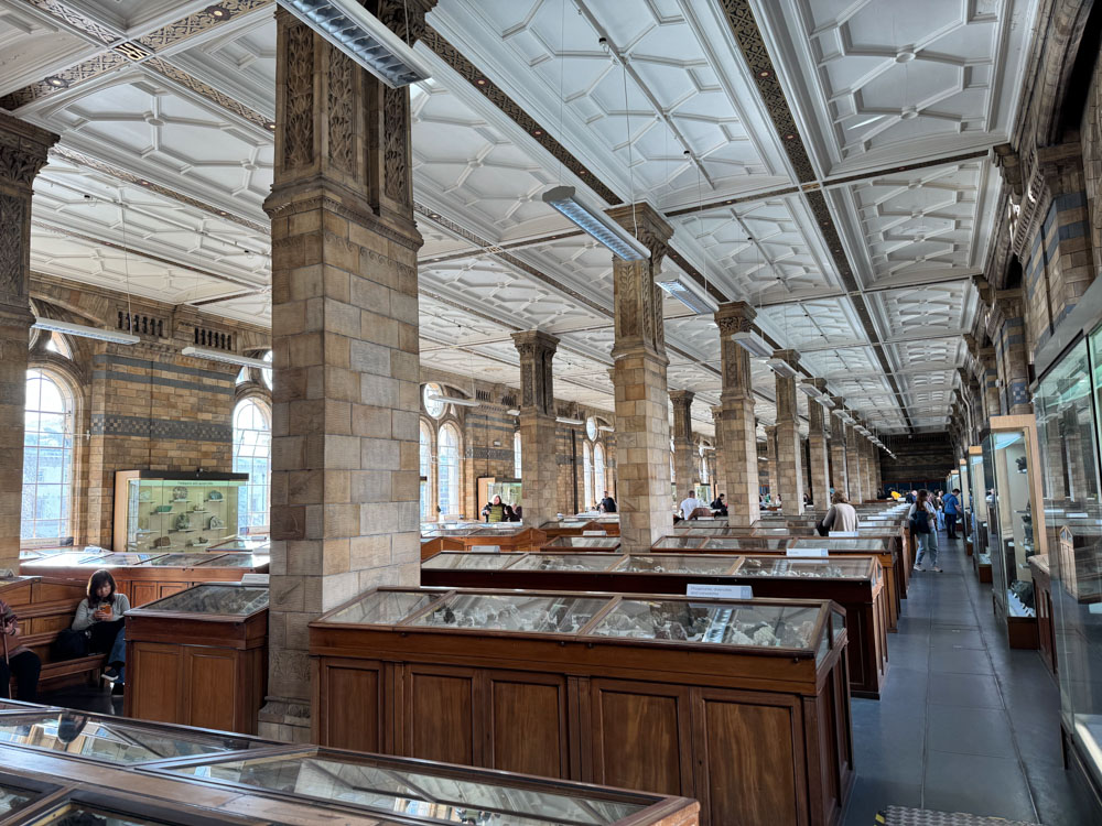 London, Londres, Musee histoire naturelle