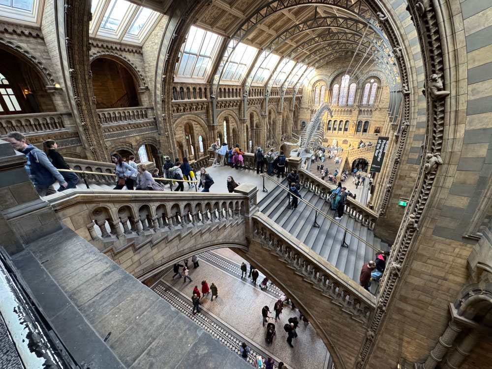 London, Londres, Musee histoire naturelle